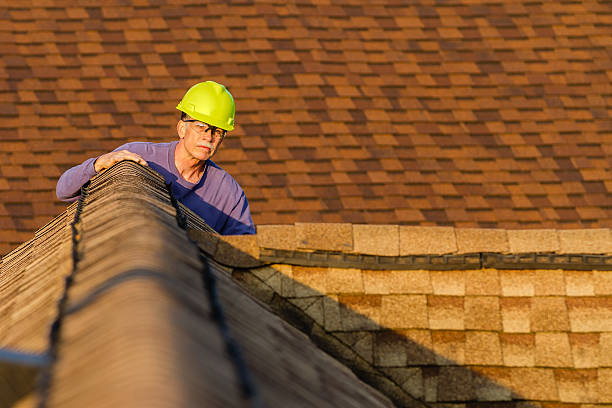 Best Roof Gutter Cleaning  in Seneca, MO